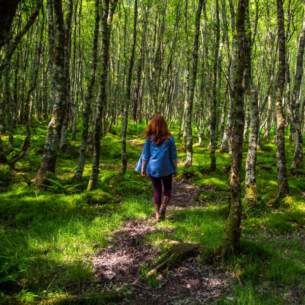 image of a woman walking through a forest