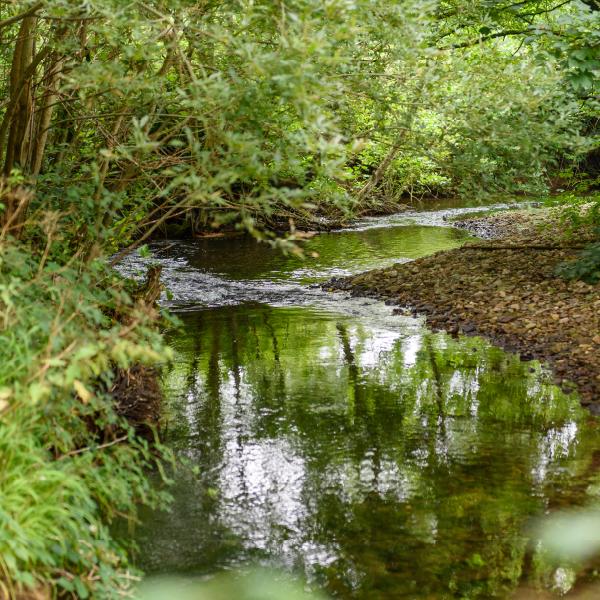 image of an irish river