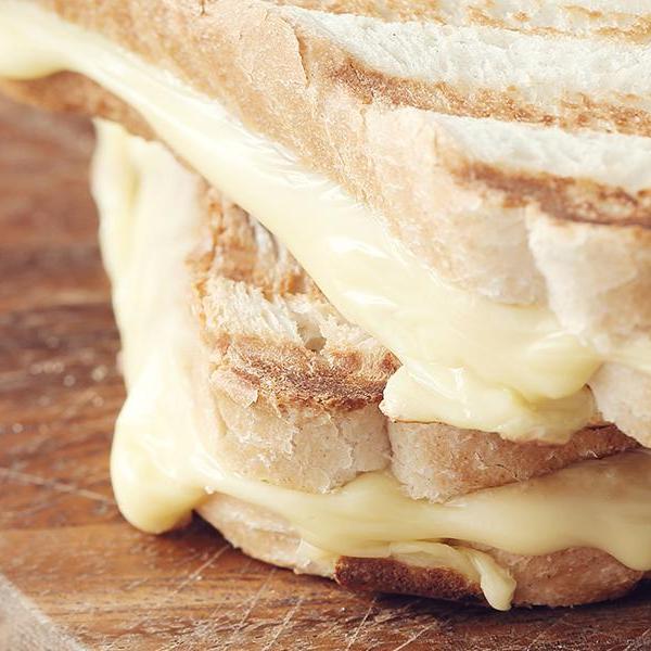 grilled sandwich with edam cheese