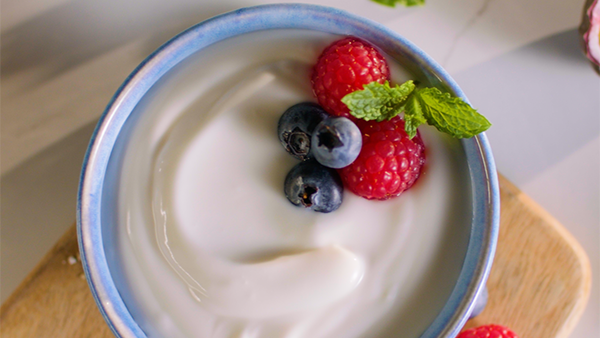 ings-dairy-yoghurt2