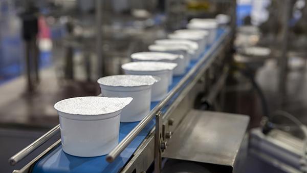yoghurts on manufacturing line