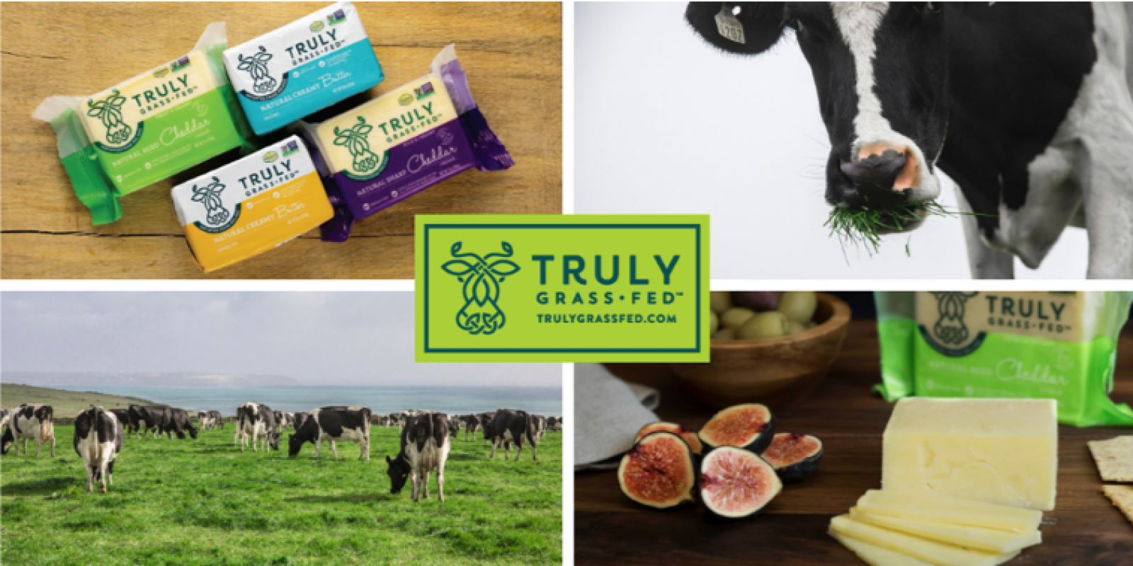 Collage of 4 images featuring Truly Grass Fed imagery. From top left: image of Truly Grass Fed butter and cheese; close-up of cow eating grass; group of cows grazing in a green field; close-up of Truly Grass Fed cheese sitting on a cheese board. In the middle of the collage is the Truly Grass Fed logo.