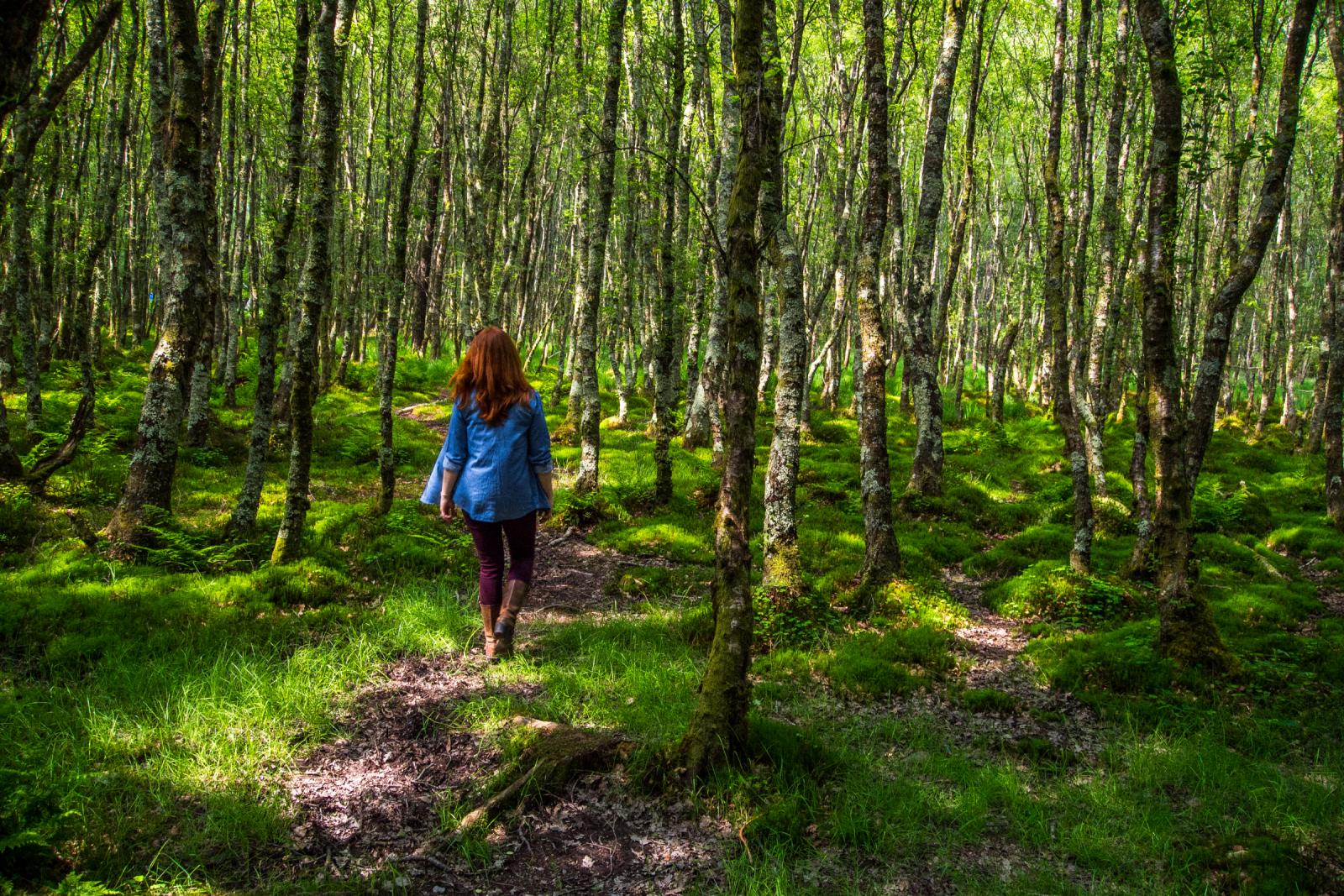 image of a woman walking through a forest