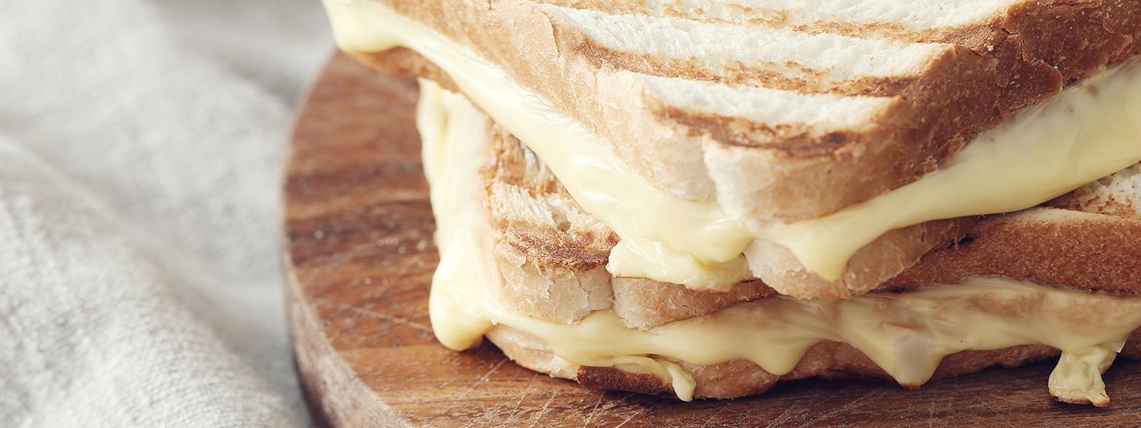 grilled sandwich with edam cheese